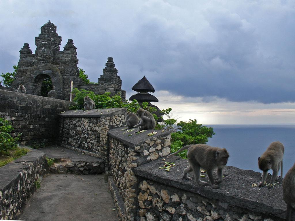 Bali Green Hills Pecatu Kültér fotó